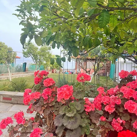Valenia